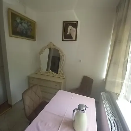 아파트 Casa Din Parc *